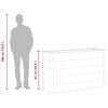 vidaXL Lit sur&eacute;lev&eacute; de jardin WPC 150x50x91 cm Gris