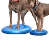 FitPAWS Disque d'&eacute;quilibre pour animaux de compagnie 36 cm Bleu