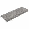 vidaXL Tapis d'escalier 10 pièces 65 x 21 x 4 cm Gris Bord rectangulaire