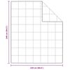 vidaXL Duvet d'&eacute;t&eacute; simple Blanc 240 x 220 cm Plume
