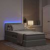 vidaXL Lit avec rangement et LED Gris clair 100 x 200 cm tissu