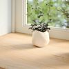 vidaXL Appuis de fen&ecirc;tre 2 pcs non trait&eacute; 80x25x2 cm bois ch&ecirc;ne massif