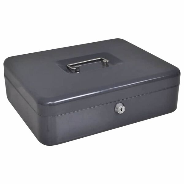 vidaXL Coffre &agrave; cash avec verrouillage Gris fonc&eacute; 30 x 24 x 9 cm Acier