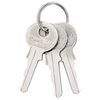 vidaXL U Lock avec Cl&eacute;s 100 pcs Laiton Fer