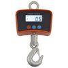vidaXL Balance &agrave; grue &eacute;lectronique 300 kg