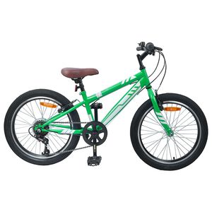 vidaXL V&eacute;lo de Montagne 20 Pouces 6-Speed pour 5-8 ans Vert
