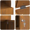 vidaXL Bo&icirc;te de d&eacute;p&ocirc;t de colis Rouill&eacute; 47,5 x 38 x 59 cm Acier patin&eacute;
