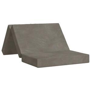 vidaXL Canap&eacute;-lit pliable 100 x 67 x 45 cm Gris clair