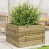 vidaXL Jardini&egrave;re 70x70x46 cm bois de pin impr&eacute;gn&eacute;
