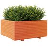 vidaXL Jardini&egrave;re cire marron 100x100x49,5 cm bois de pin massif