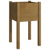 vidaXL Jardini&egrave;re d'ext&eacute;rieur Marron miel 40x40x70 cm Pin massif