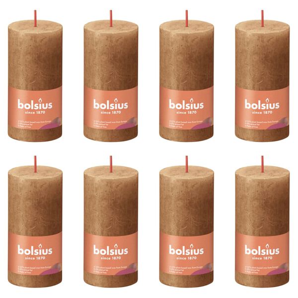Bolsius Bougies pilier rustiques Shine 8 pcs 100x50 mm Marron &eacute;pice