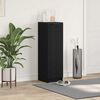 vidaXL Cabinet &agrave; chaussures avec &eacute;tag&egrave;re Ch&ecirc;ne noir 29,5 x 35 x 101 cm