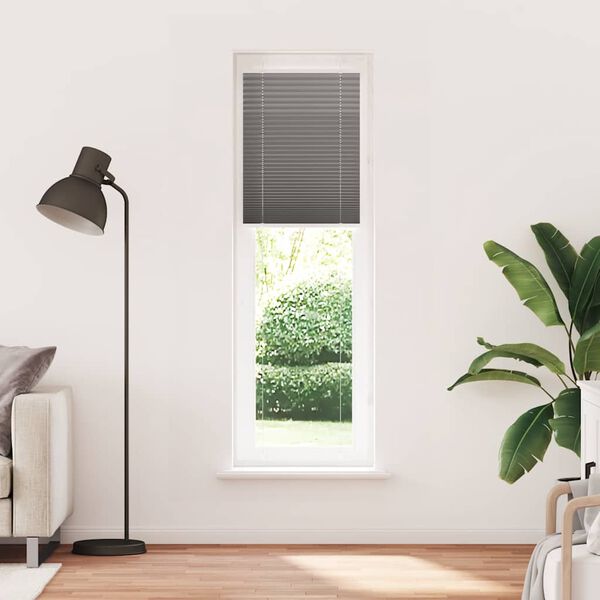 vidaXL Store pliss&eacute; anthracite 65x200 cm largeur du tissu 64,4 cm