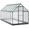 vidaXL Serre de jardin 183,5 x 423,5 x 207 cm