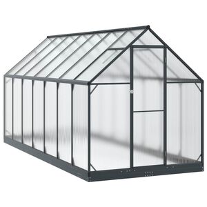 vidaXL Serre de jardin 183,5 x 423,5 x 207 cm