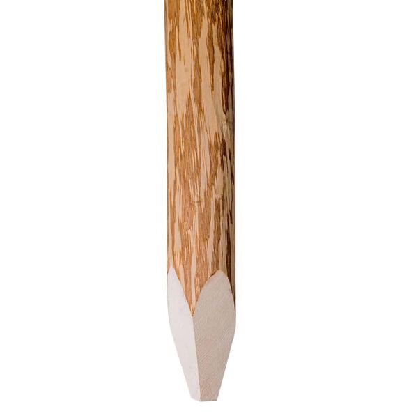 vidaXL Poteaux pointus de cl&ocirc;ture 4 pcs Bois de noisetier 120 cm