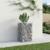 vidaXL Lit sur&eacute;lev&eacute; gabion Argent&eacute; 50 x 50 x 80 cm Acier galvanis&eacute;