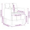 vidaXL Fauteuil avec accoudoirs noir 55 cm velours