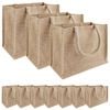 vidaXL Sacs en jute 10 Naturel 26 x 22 x 14 cm 100 % jute Tossa
