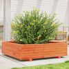 vidaXL Jardini&egrave;re cire marron 90x90x26,5 cm bois de pin massif