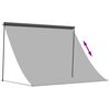 vidaXL Auvent r&eacute;tractable anthracite 250x150 m tissu et acier