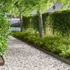Vignette du produit 2 sur 9