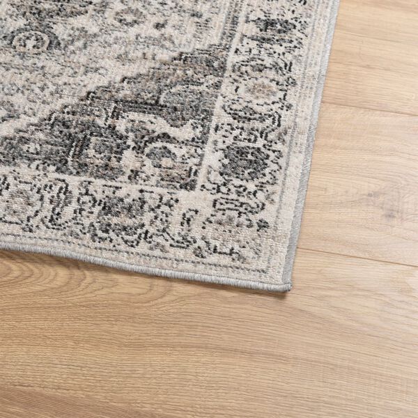 vidaXL Tapis ARBIZU int&eacute;rieur ext&eacute;rieur design vintage 80x250 cm