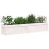 vidaXL Jardini&egrave;res 2 pcs blanc bois de pin massif