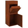 vidaXL Bo&icirc;te de d&eacute;p&ocirc;t de colis Rouill&eacute; 41 x 38 x 103 cm Acier patin&eacute;