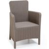 Allibert Chaises &agrave; d&icirc;ner de jardin 2 pcs Trenton Cappuccino