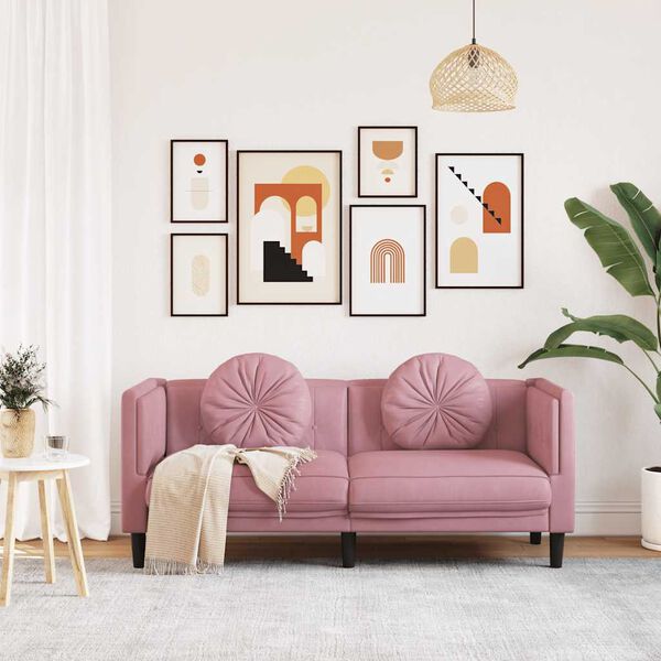 vidaXL Canap&eacute; avec coussins 2 places rose velours