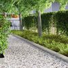 vidaXL Bordure de Pelouse 4 pcs Argent 450 x 0,05 x 15 cm