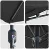 vidaXL Parasol de jardin Noir 385 x 209 x 244 cm Polyester