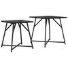 Black_oak