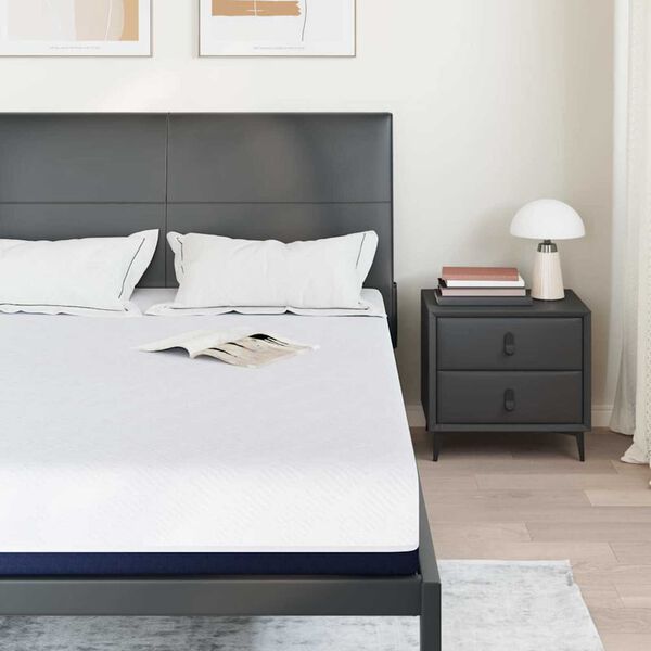 vidaXL Matelas Blanc et Bleu 160 x 200 cm Tissu jacquard