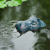 Ubbink Fontaine de jardin &agrave; cracheur flottante Hippopotame