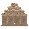 vidaXL Sacs en jute 10 pcs 65x135 cm 100 % jute 220 g/m&sup2;