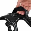 Vignette du produit 12 sur 14