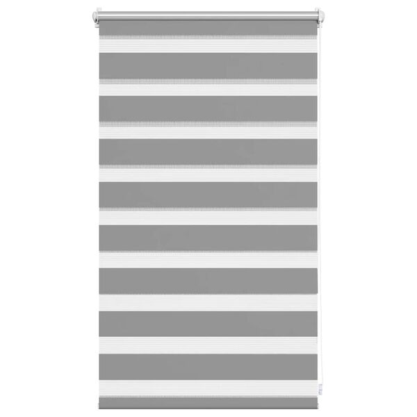 vidaXL Store 50x100 cm Gris
