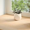 vidaXL Appuis de fen&ecirc;tre 2 pcs non trait&eacute; 140x40x2cm bois ch&ecirc;ne massif