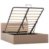vidaXL Cadre de lit &agrave; rangement hydraulique sans matelas 120x200 cm
