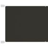 vidaXL Auvent vertical Anthracite 60x420 cm Tissu oxford