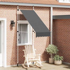 vidaXL Auvent manuel r&eacute;tractable 100 cm anthracite
