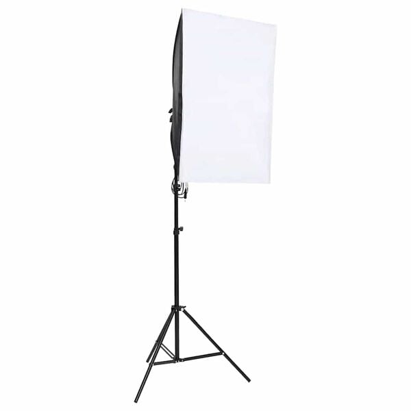 vidaXL Kit de studio photo avec &eacute;clairage et toile de fond