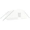 vidaXL Serre avec cadre en acier Blanc 24 m&sup2; 6x4x2,85 m
