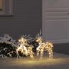 vidaXL Rennes LED avec 40 LED 2 pcs Blanc chaud PET