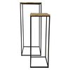 HSM Collection Ensemble de supports &agrave; plantes 2 pcs 40x40x110 cm