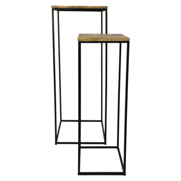 HSM Collection Ensemble de supports &agrave; plantes 2 pcs 40x40x110 cm