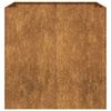 vidaXL Jardini&egrave;re rouill&eacute; 80x80x80 cm acier inoxydable